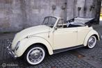 Volkswagen Beetle Cabriolet | 1966 | Route 66 Auctions, Autos, Achat, Entreprise, Autre carrosserie, Essence