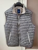 Zeer mooie bodywarmer merk Beach Club Milano, XXL, als nieuw, Ophalen of Verzenden, Zo goed als nieuw, Beige
