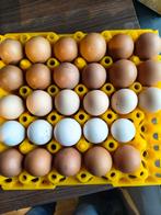 Œufs de poules élevées en liberté, Enlèvement