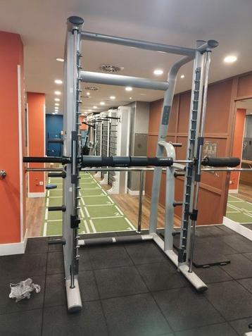 Technogym multi power smitmachine  beschikbaar voor biedingen
