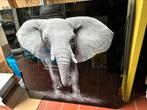 Foto olifant met glaskader voor aan de muur te hangen, Huis en Inrichting, Woonaccessoires | Schilderijen, Tekeningen en Foto's