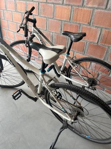 2 Trek mountainbikes in het kleur wit  beschikbaar voor biedingen