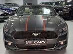 Ford Mustang Cabrio 2.3 Clim Cuir Gps Xenon Caméra Full Opt, 4 zetels, Achterwielaandrijving, Gebruikt, https://public.car-pass.be/vhr/5479a430-09b4-4a67-b0df-4864d77fc1b8