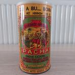 Pasha cichorei., Ophalen of Verzenden, Zo goed als nieuw