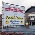 Kunstbuxus in pot uv bestendig met stam, Nieuw, Ophalen of Verzenden, Sunshine-Colours BV, Budingenweg 37 Te 3440 Zoutleeuw