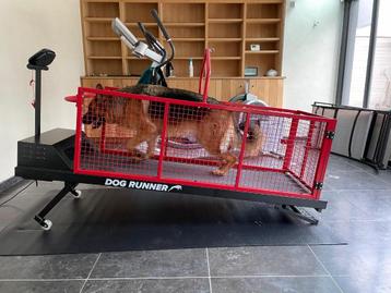 Dogrunner limited edition  beschikbaar voor biedingen