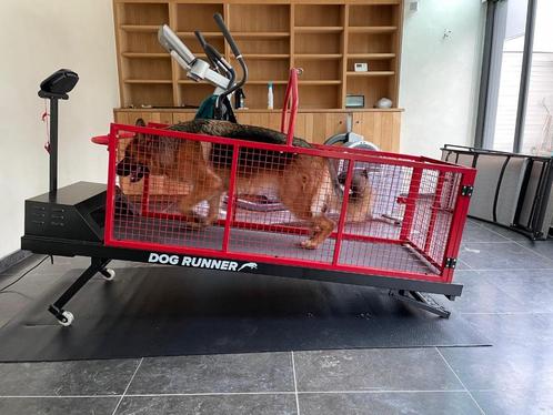 Dogrunner limited edition, Dieren en Toebehoren, Honden-accessoires, Zo goed als nieuw, Ophalen