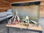 Aquarium met buitenfilter en veel toebehoren., Dieren en Toebehoren, Vissen | Aquaria en Toebehoren, Ophalen, Zo goed als nieuw