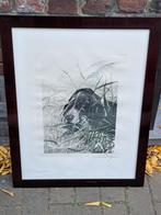 Gravure signe leon danchin, Ophalen of Verzenden