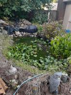 Vijver gratis, Tuin en Terras, Ophalen of Verzenden, Zo goed als nieuw
