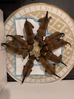 Onze kapoentjes hun eerste brokjes, Dieren en Toebehoren, Overige soorten