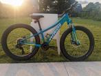 Specialized fat boy / fat bike 26 inch, Fietsen en Brommers, Fietsen | Crossfietsen en BMX, Ophalen, Zo goed als nieuw