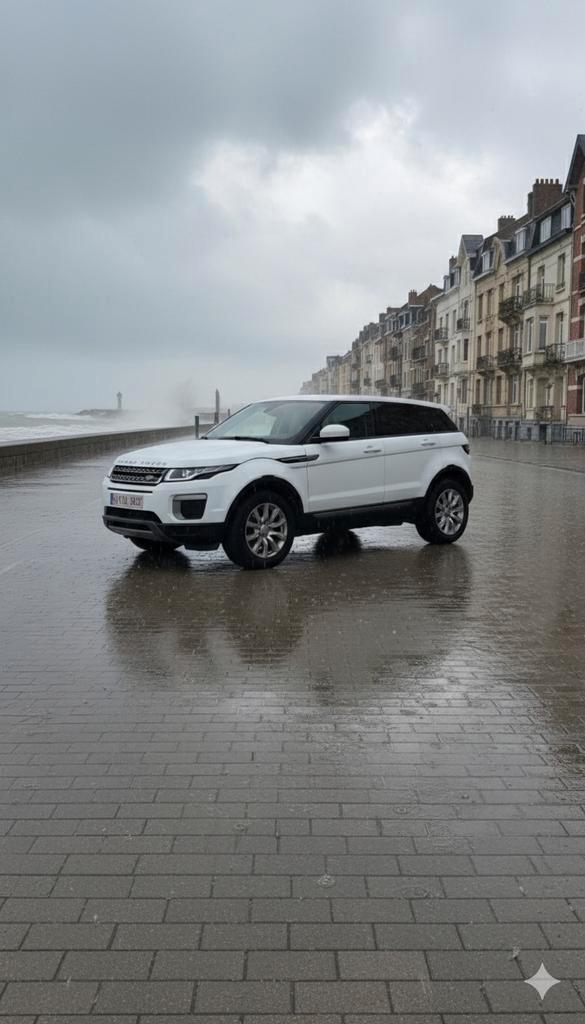 RANGE ROVER EVOQUE, Auto's, Land Rover, Bedrijf, Range Rover, Diesel, Euro 6, Automaat, Dealer onderhouden, Onderhoudsboekje, Ophalen