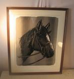 Aquarelle magnifiquement peinte - Tête de cheval - Signée, Antiquités & Art, Enlèvement ou Envoi