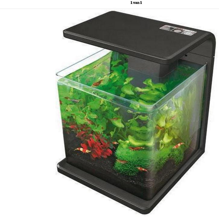 superfish 15 aquarium, Dieren en Toebehoren, Vissen | Aquaria en Toebehoren, Ophalen