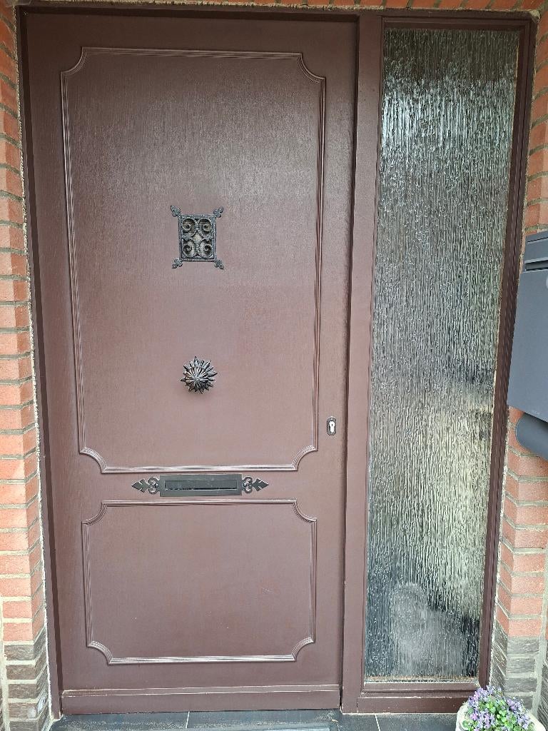 Voordeur, Gebruikt, Buitendeur, 200 tot 215 cm, Glas