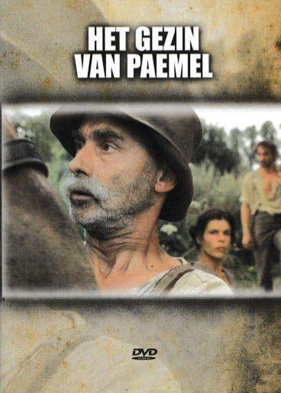 Het Gezin van Paemel - Dvd, CD & DVD, DVD | Néerlandophone, Film, Envoi