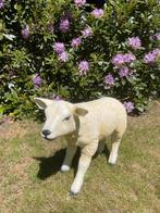 Beeld texel schaap lammetje, tuin, boerderij 60 cm, Ophalen, Nieuw, Kunststof, Dierenbeeld