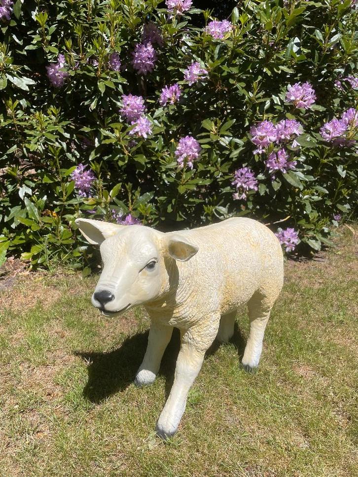 Image : texel, mouton, agneau, jardin, ferme, 60 cm, Jardin & Terrasse, Statues de jardin, Neuf, Animal, Synthétique, Enlèvement