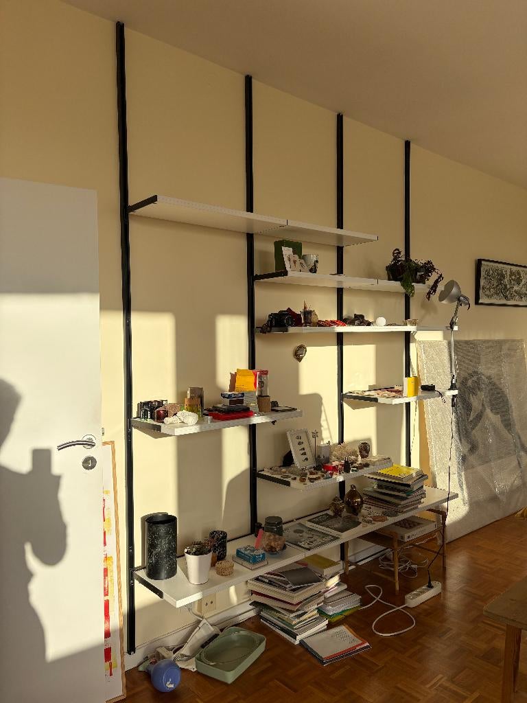 Bookshelf by Osvaldo Borsani for Tecno 1961, Enlèvement