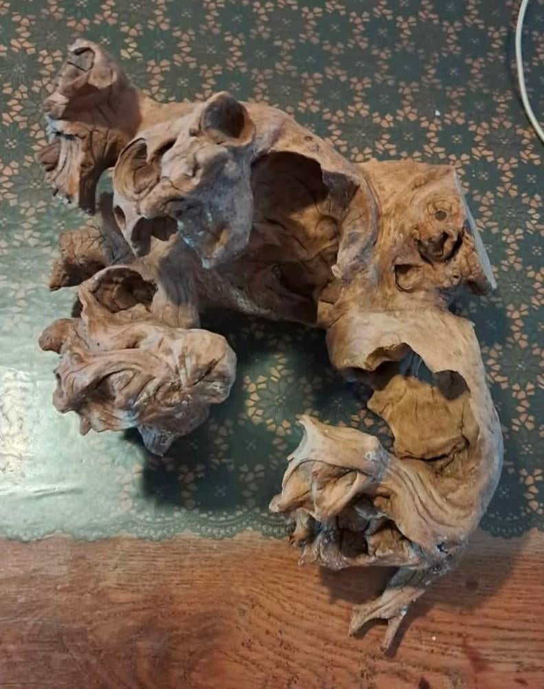 Sierhout voor aquarium, Animaux & Accessoires, Enlèvement