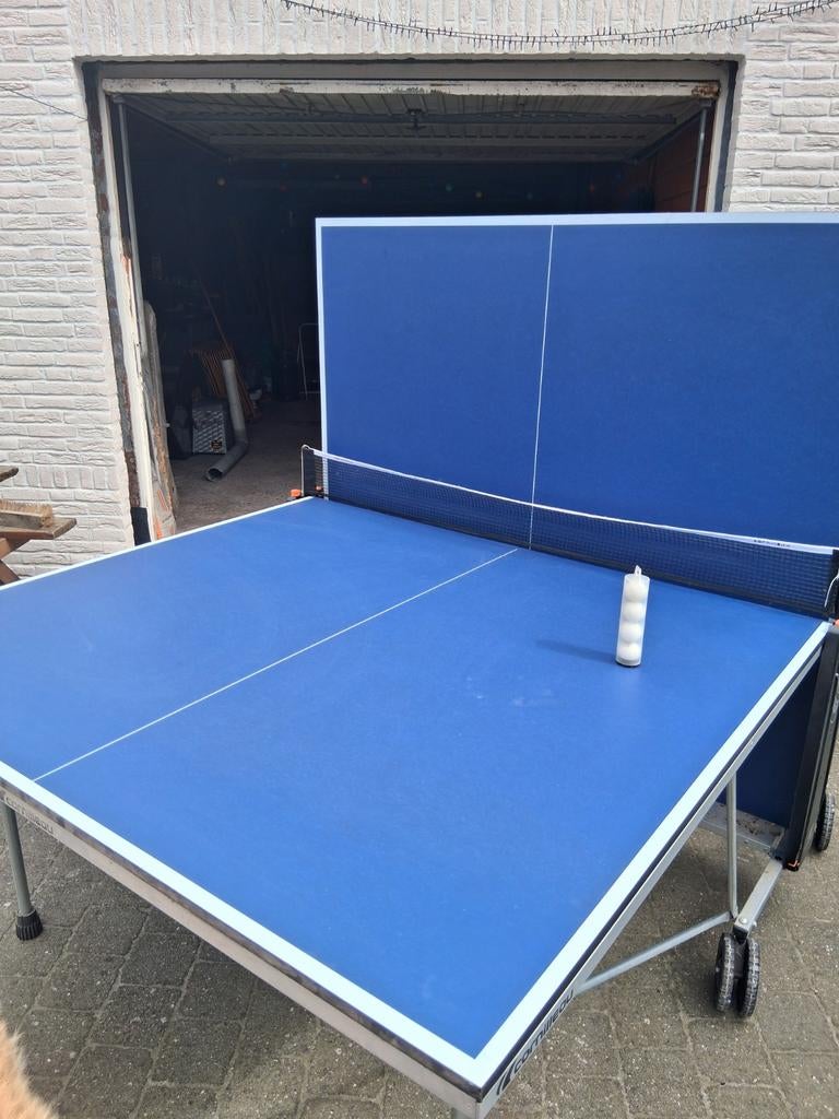 Pingpongtafel, Sport en Fitness, Tafeltennis, Ophalen