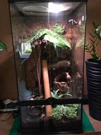 Terrarium zonder planten (45x45x90), Dieren en Toebehoren, Ophalen, Gebruikt, Terrarium of Paludarium