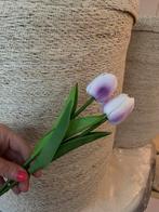 10 tulipes lila, Ophalen of Verzenden