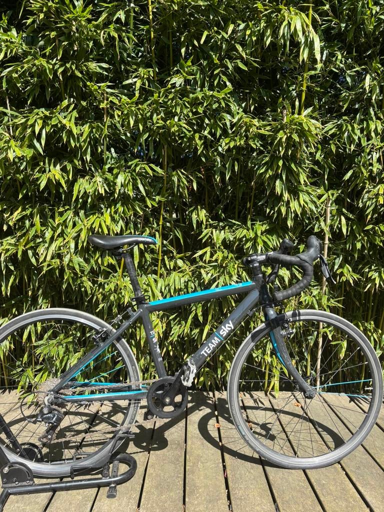 Frog bikes sky fiets, Fietsen en Brommers, Ophalen, Zo goed als nieuw