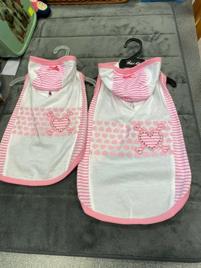 Leuke shirtjes van het mooie merk Pinkaholic aan outletprijs, Ophalen of Verzenden, Nieuw