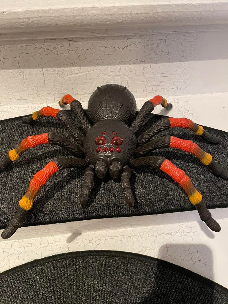 Grande araignée, Enlèvement ou Envoi