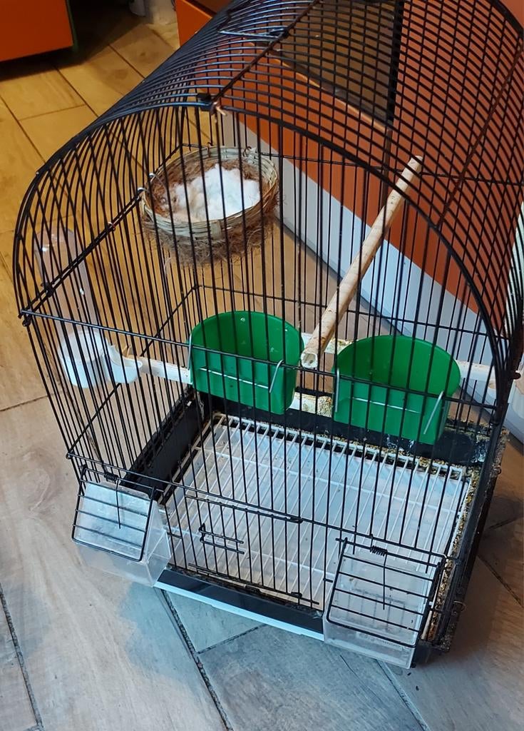 Vogels kooi 50×33 cm, Ophalen