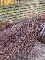 Wilgentakken, Tuin en Terras, Ophalen