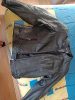 Veste cuir Dame Ixon