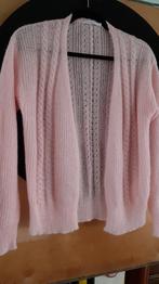 Magnifique nouveau gilet surdimensionné Hampton Bays doux S/, Hampton Bays, Enlèvement ou Envoi, Neuf, Taille 38/40 (M)