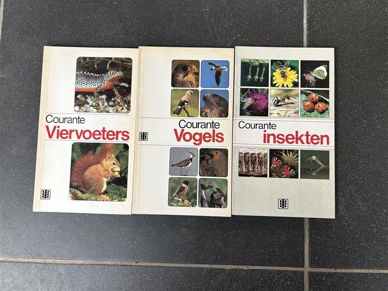 3 boekjes - Courante Viervoeters / Vogels / Insekten, Livres, Nature, Enlèvement, Utilisé, Oiseaux