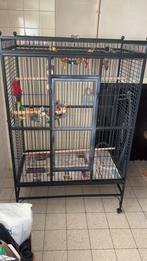 Papegaaien kooi, Enlèvement, Comme neuf