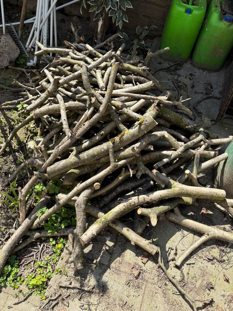 GRATIS BRANDHOUT !!, Ophalen of Verzenden