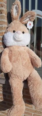 Prachtig groot Paas konijn!, Enlèvement, Lapin