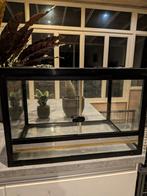 Terrarium 60/40/40, Enlèvement