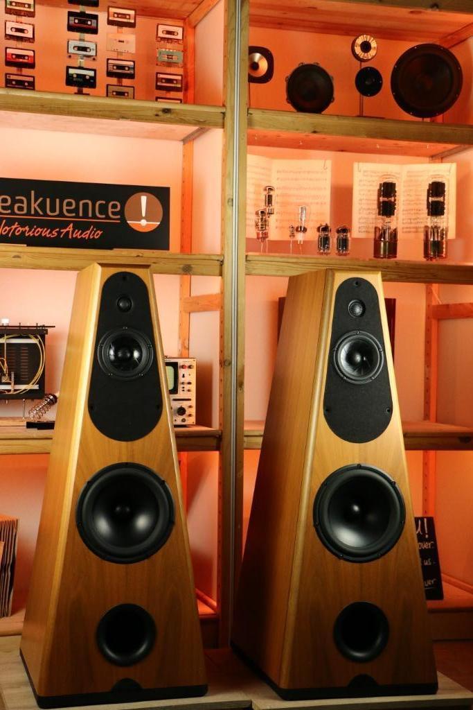 Respons Audio Magna Musicum TRADE.INRUIL. High end Freaktip!, Audio, Tv en Foto, Luidsprekerboxen, Zo goed als nieuw, Front, Rear of Stereo speakers