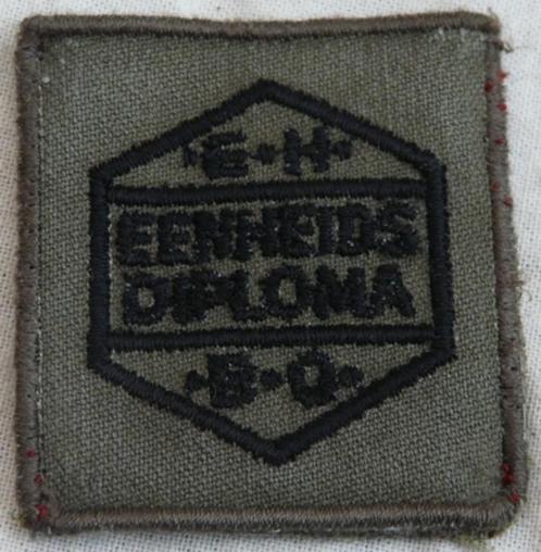 Embleem, Vaardigheid, Borst, GVT, EHBO, KL, jaren'90.(Nr.1), Verzamelen, Militaria | Algemeen, Landmacht, Embleem of Badge, Ophalen of Verzenden