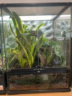 Exo terra terrarium ingericht 45x45x60cm, Dieren en Toebehoren, Ophalen, Zo goed als nieuw
