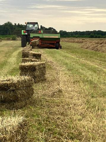Kleine pakken Hooi  beschikbaar voor biedingen
