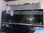 Aqaurium te koop, Dieren en Toebehoren, Ophalen, Gebruikt, Leeg aquarium