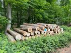 Beukenstammen leverbaar | Volle vracht stamhout beuk, Tuin en Terras, Brandhout, 6 m³ of meer, Verzenden, Beukenhout, Stammen