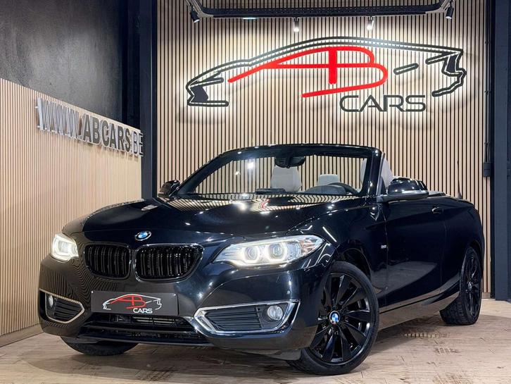 BMW 2 Serie 218 DA * CABRIOLET LUXURY * GAR 12 MOIS * 114MKM, Autos, BMW, Entreprise, Achat, Série 2, ABS, Airbags, Air conditionné