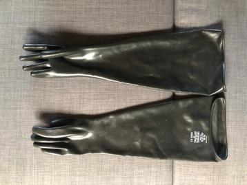 Gants latex long et fins Marigold 7-1/2 beschikbaar voor biedingen