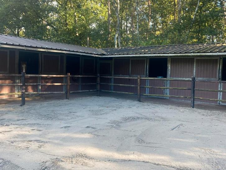 Stal en weide te huur schilde, Dieren en Toebehoren, Stalling en Weidegang, Stalling