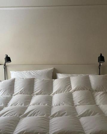 donsdeken echte dons 2 stuks  beschikbaar voor biedingen